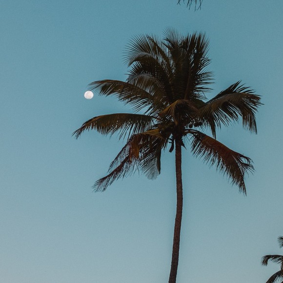 Meet your Posher, Baffour - Picture 1 of 1